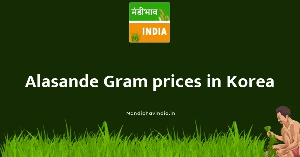 Alasande Gram price